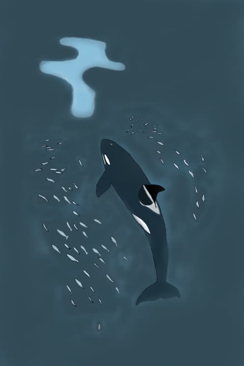 Uzunkuyruk's Long Tail Art